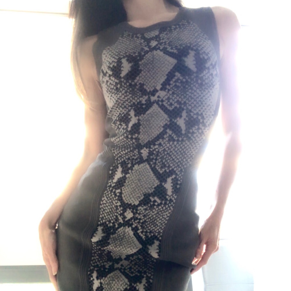 DVF DIane Von Furstenberg Bodycon Brythonic print Dress